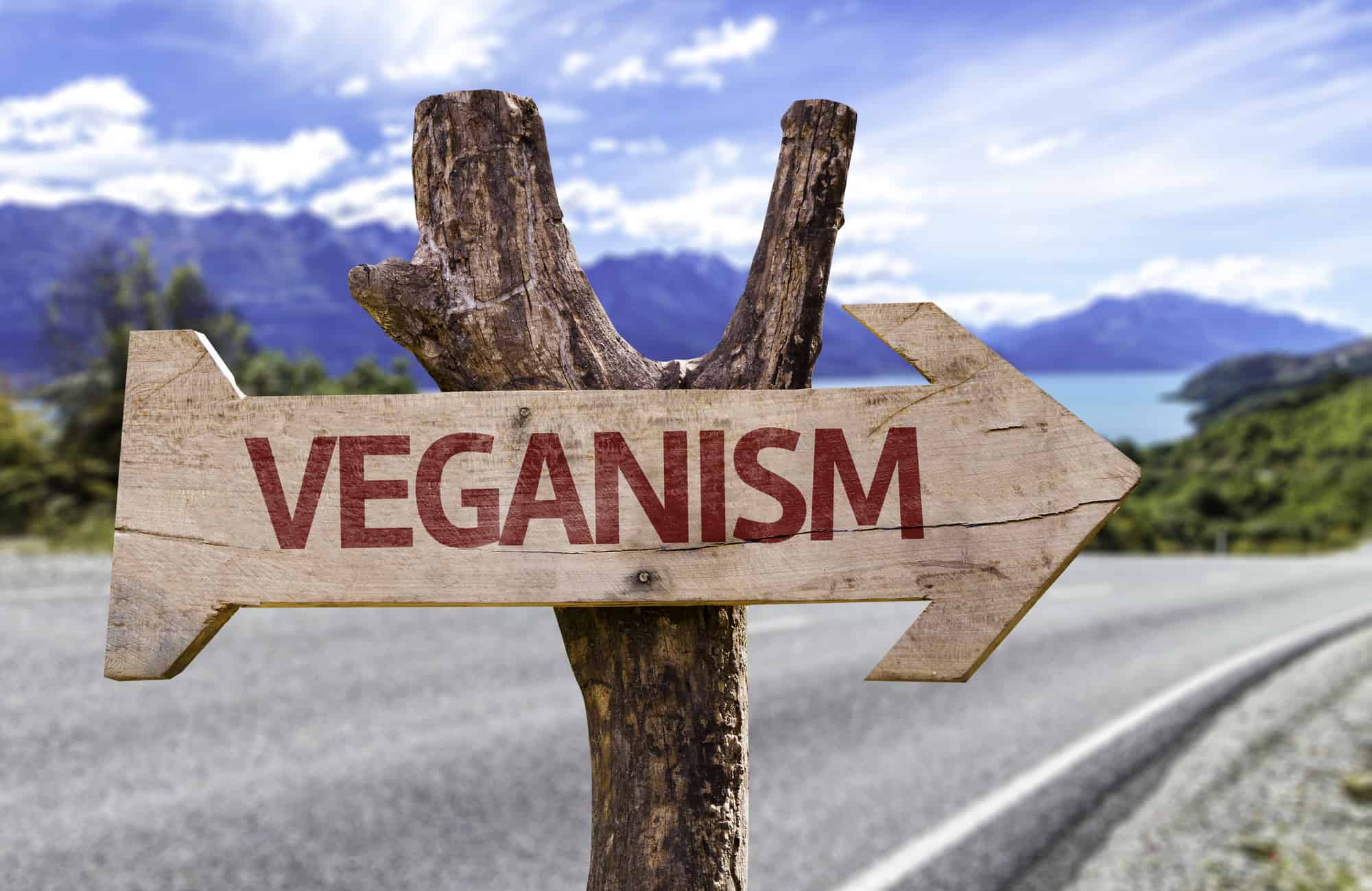 Why Veganism Might Not Be the Best Choice for Everyone